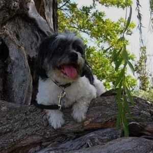 Meet your Posher, Rhonda